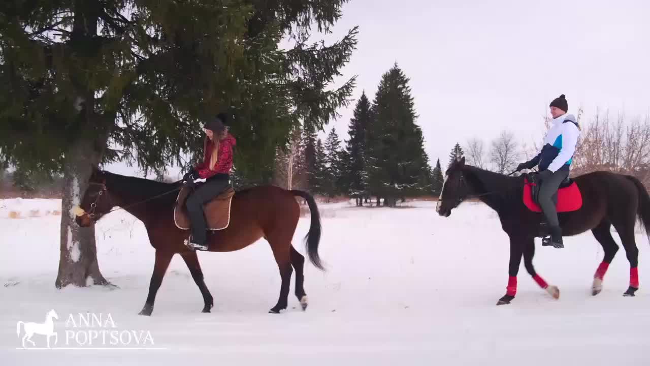 Покататься на лошадях вдвоём в Новокузнецке. Конный клуб Krasnokoni